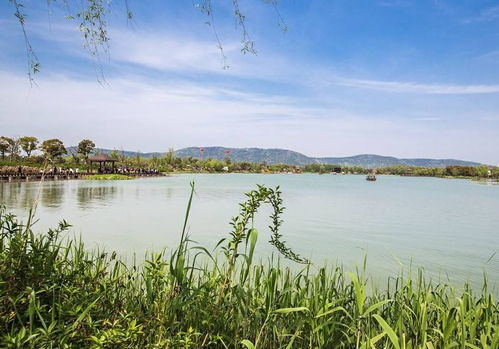 清明出游好去處 全國(guó)多景區(qū)免費(fèi)開放，沙家浜成無錫游客優(yōu)選